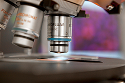 Microsope for researching pathogens